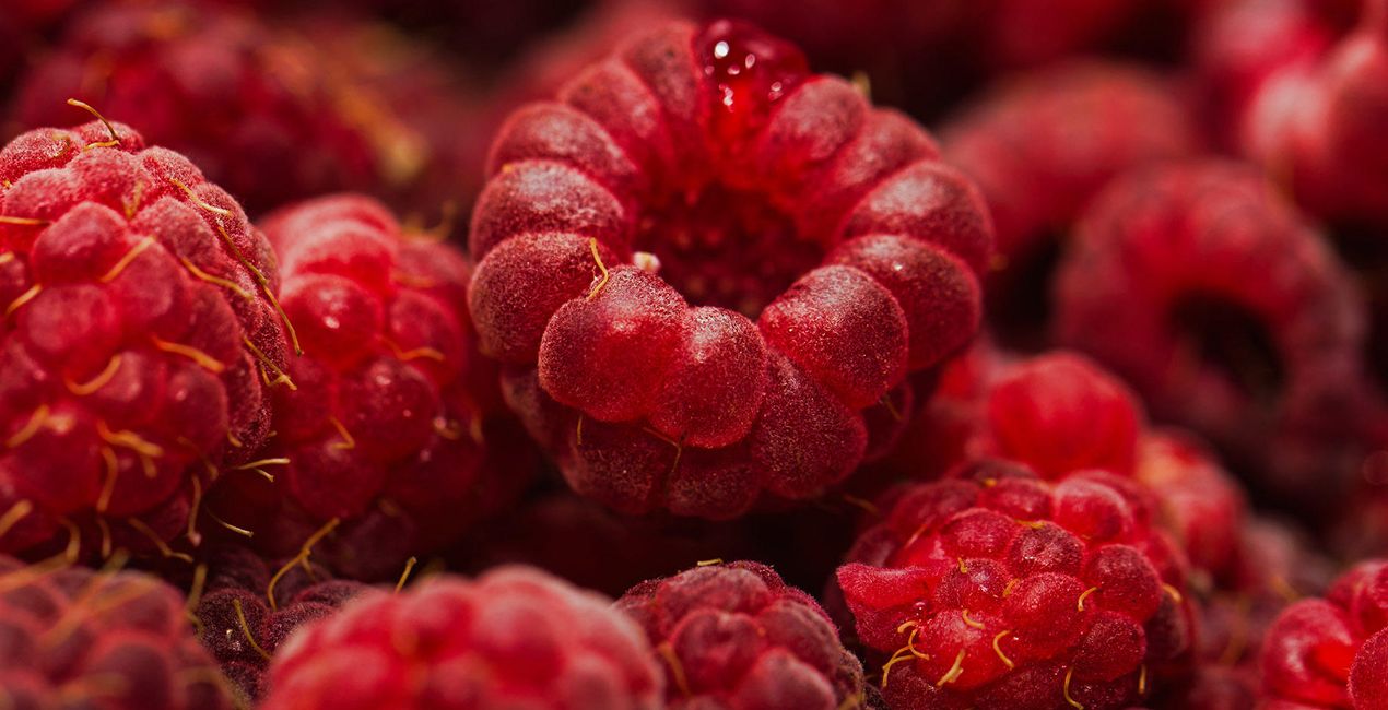 Up Close | Luminar Marketplace(42)