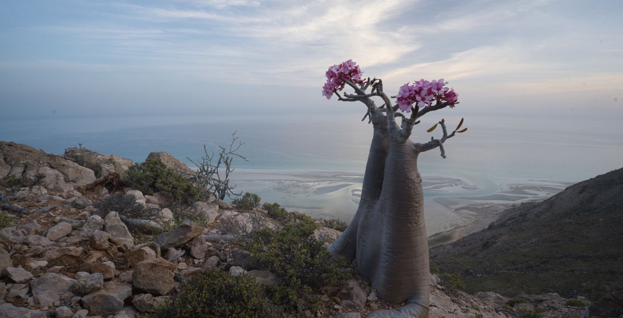 Unforgettable Sceneries Bundle is a photo enhancement asset for Luminar(45)