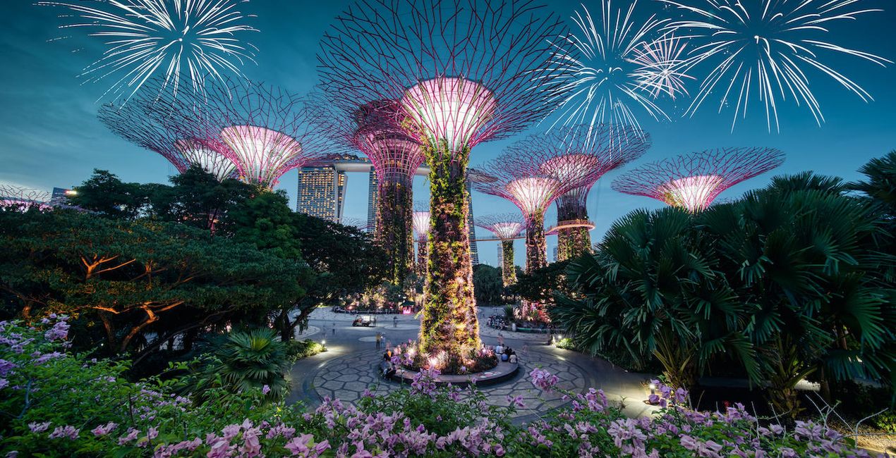 Fireworks | Luminar Marketplace(40)