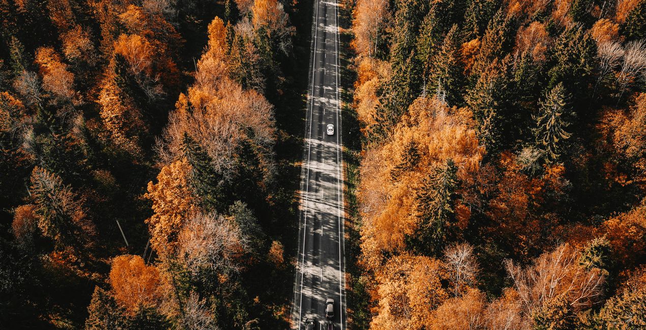 AUTUMN COLORS is a photo enhancement asset for Luminar(40)