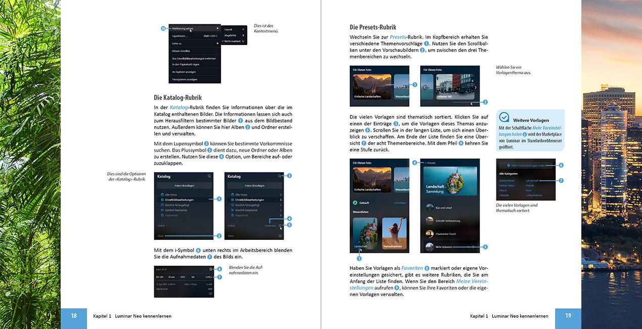 Luminar Neo Das große Praxisbuch(42)