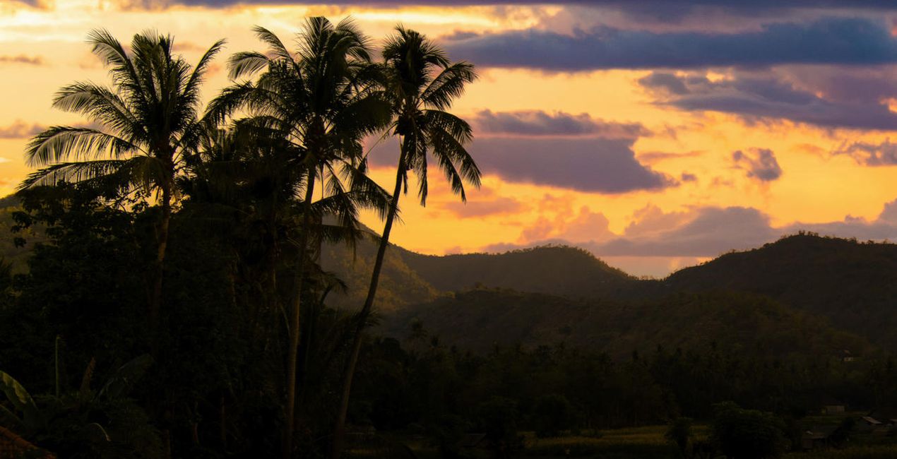 Golden Sunsets(44)