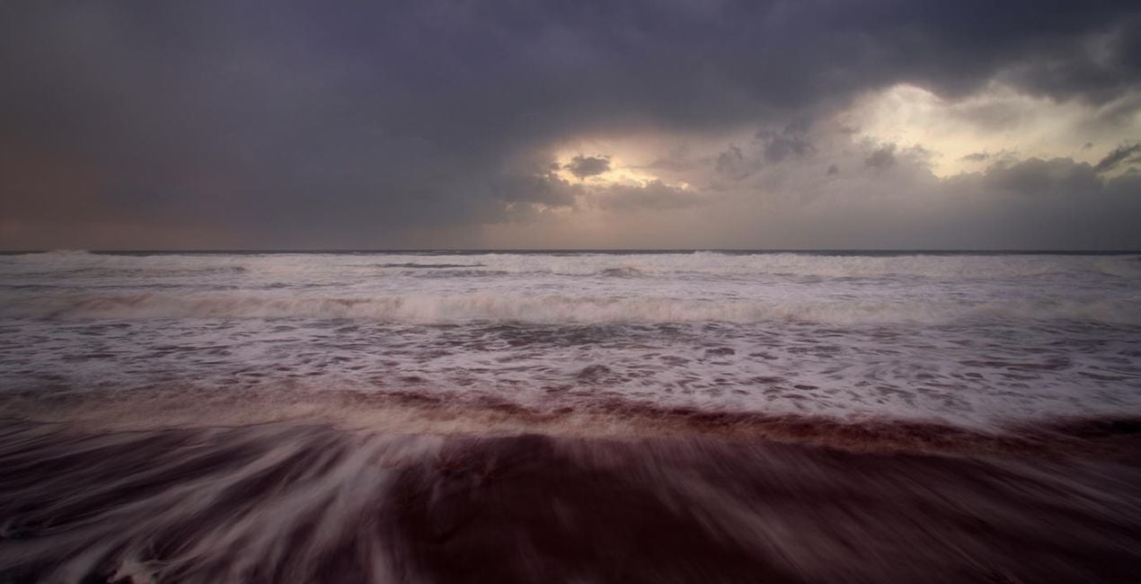 Call of the Waves(40)