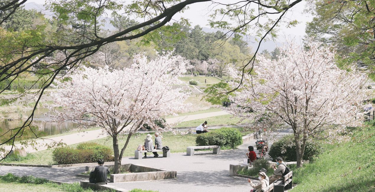 Blossom Season | Luminar Marketplace(50)
