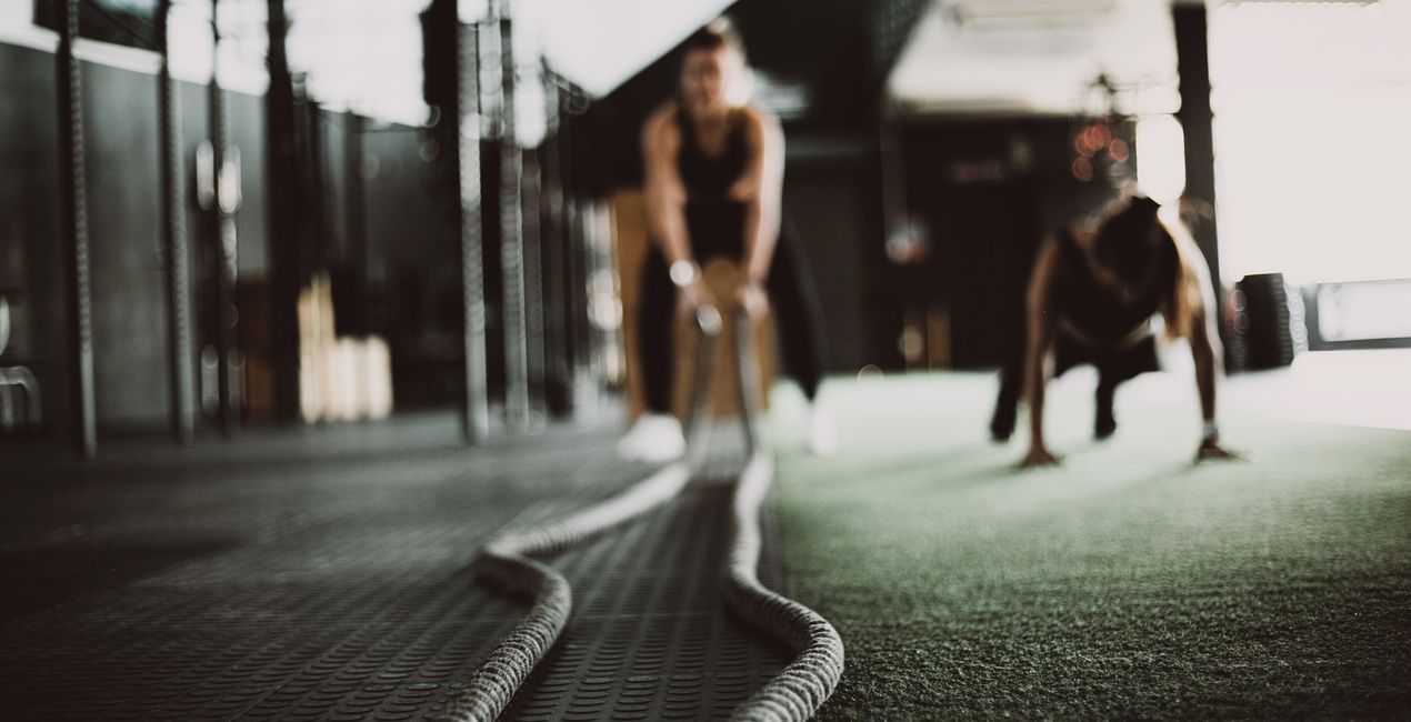 Fitness LUTs(46)