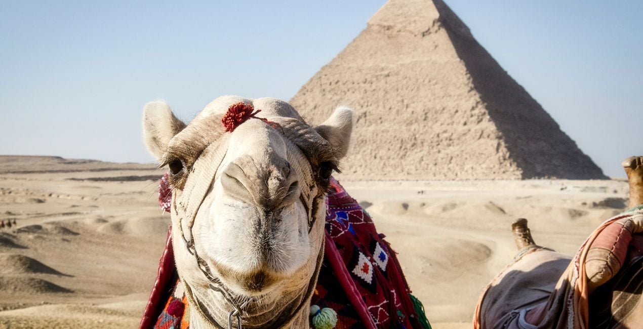 Among the Pyramids Presets(40)